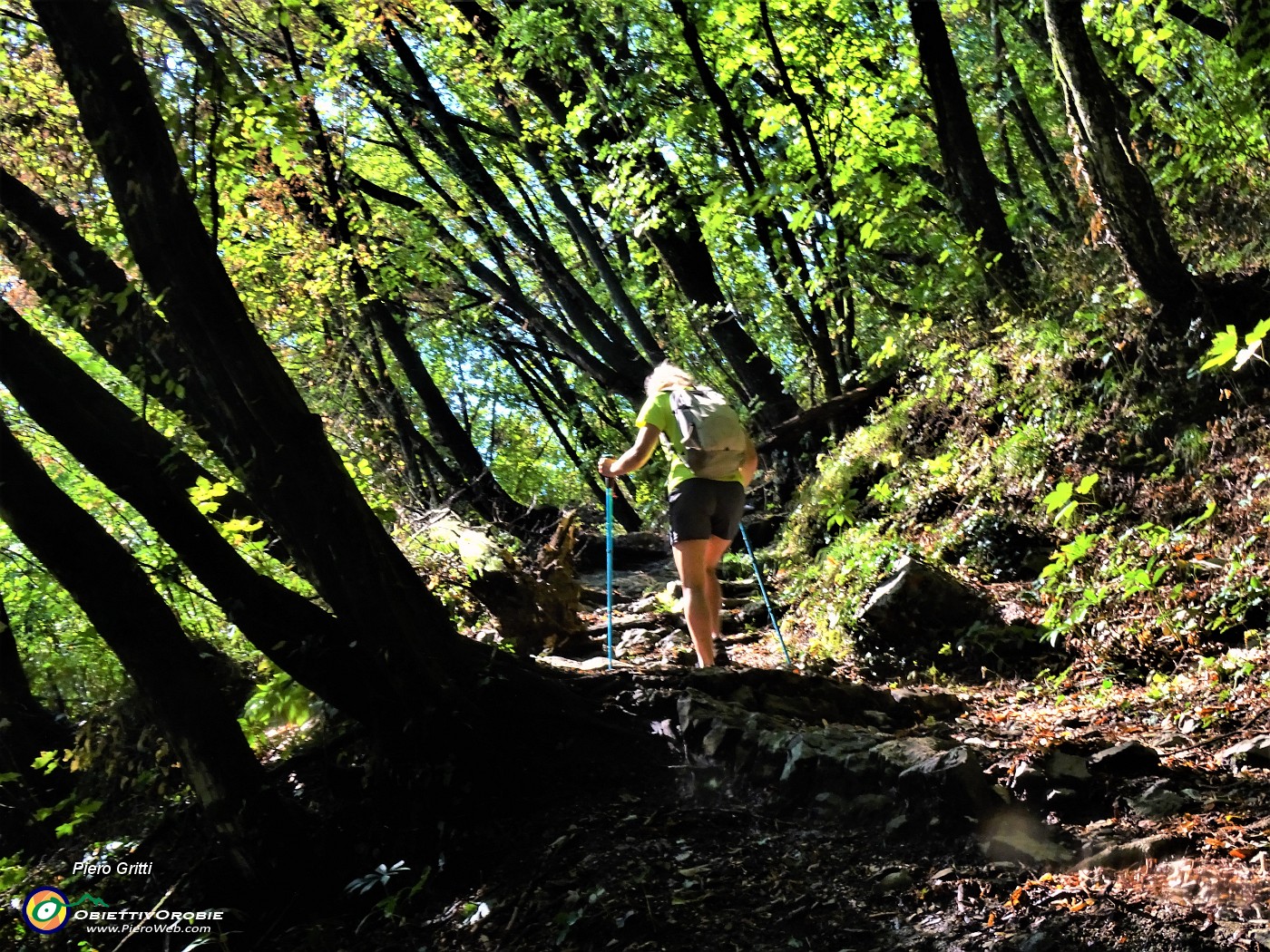 47 Risalendo in decisa salita nel bosco  il sentiero 505B per Cassarielli.JPG